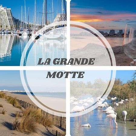 Le Dream Beach-Terrasse-Vue Mer D'Exception-Wifi-Parking - Top Pros Servicesconciergerie Palavas-les-Flots Εξωτερικό φωτογραφία
